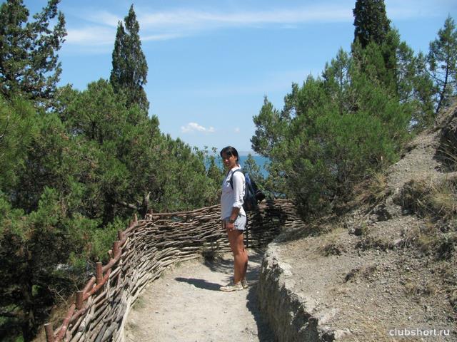 56019_8eff4d5yx4w.jpg